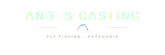 andes casting logo white